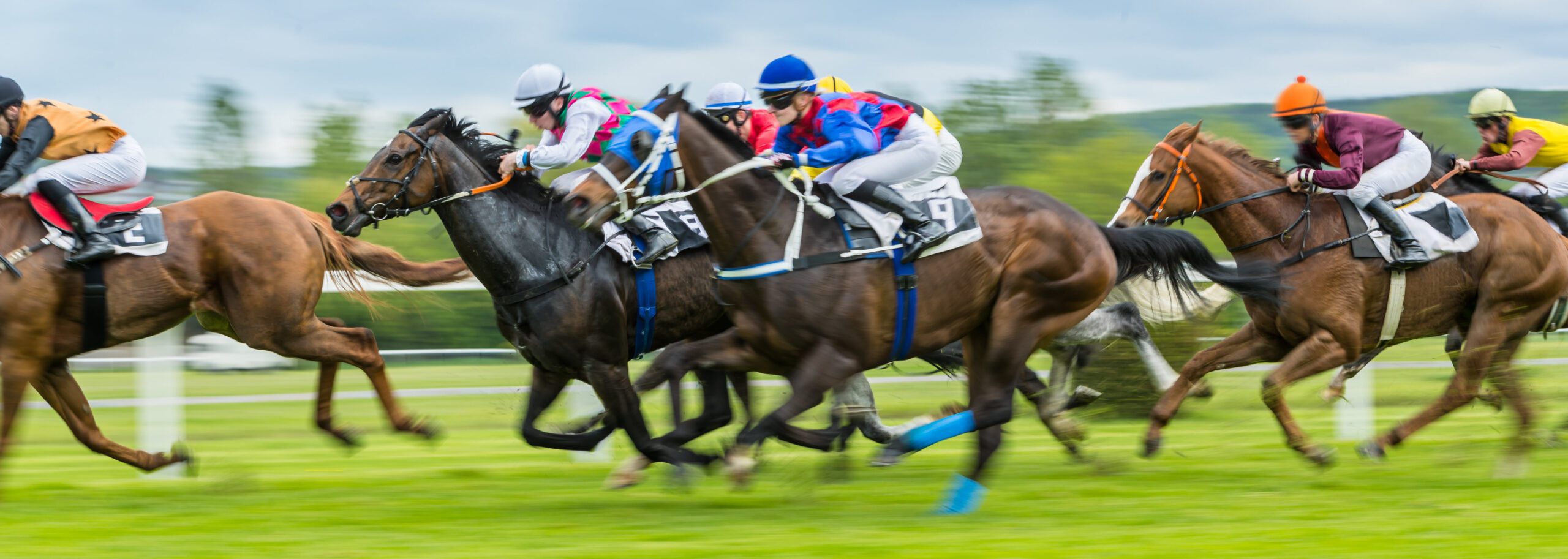 Picture of several race horses and jockeys, racing on a race track